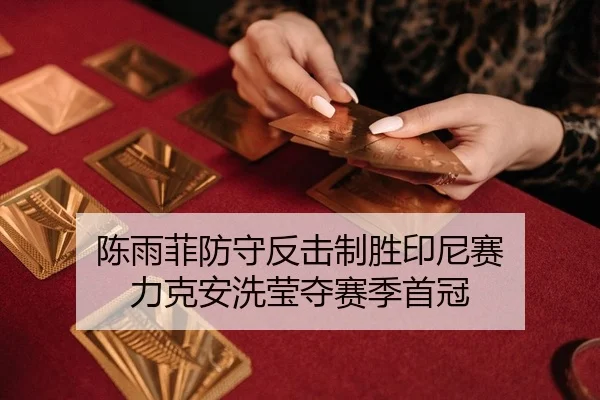 chen-yu-fei-fang-shou-fan-ji-zhi-sheng-yin-ni-sai-li-ke-an-xi-ying-duo-sai-ji-shou-guan-2-492.jpg